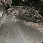 Neve e disagi sulla Granda: alberi caduti, strade chiuse, allagamenti e traffico ferroviario in tilt