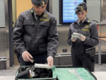 Malpensa, maxi sequestro di sigarette di contrabbando: 44 denunce