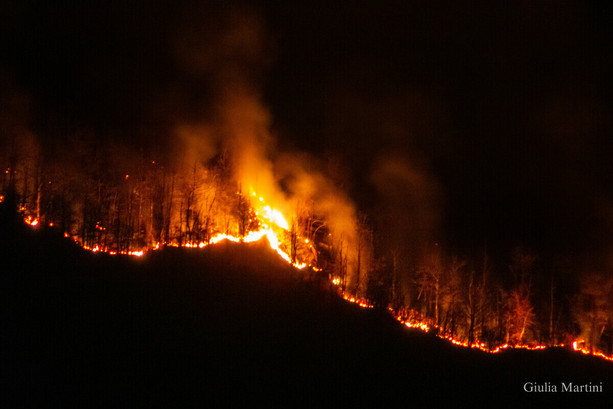 Ingente dispiego di uomini e mezzi per fermare l'avanzare dell'incendio divampato a Frabosa Sottana [VIDEO]