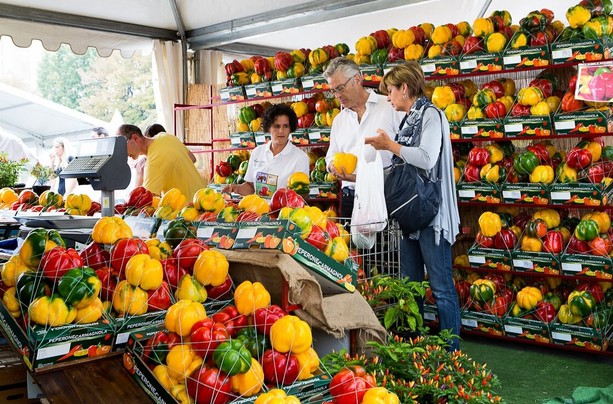 Fiera del Peperone a Carmagnola e Levante in concerto: cosa fare fino a domenica 30 agosto Fiera del Peperone a Carmagnola e Levante in concerto: cosa fare fino a domenica 30 agosto