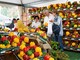 Fiera del Peperone a Carmagnola e Levante in concerto: cosa fare fino a domenica 30 agosto Fiera del Peperone a Carmagnola e Levante in concerto: cosa fare fino a domenica 30 agosto