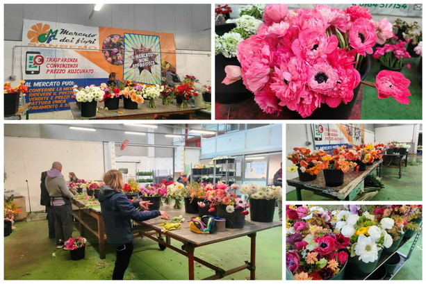 Nel cuore del mercato dei fiori nascono i bouquet del Festival: fino a 50 creazioni al giorno per artisti e ospiti (Video) Nel cuore del mercato dei fiori nascono i bouquet del Festival: fino a 50 creazioni al giorno per artisti e ospiti (Video)