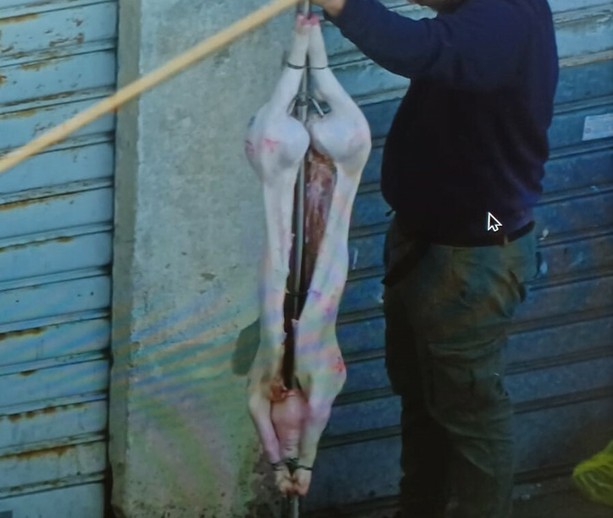 Dal maiale appeso alle minacce, ora Mirafiori alza la voce contro i camper abusivi [FOTO]