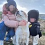 Uccisero cane a colpi di fucile a Castellinaldo d’Alba: individuato il responsabile