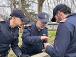 Controlli contro lo spaccio: arrestate dalla Polizia 78 persone in Barriera di Milano Controlli contro lo spaccio: arrestate dalla Polizia 78 persone in Barriera di Milano