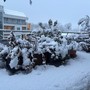 La neve imbianca la Granda: disagi contenuti e scatta il Piano Neve La neve imbianca la Granda: disagi contenuti e scatta il Piano Neve