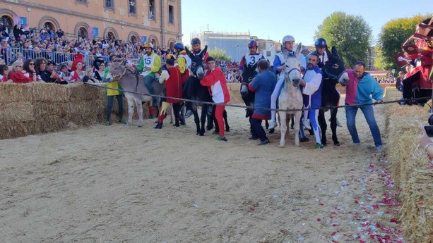 Ad Alba si corre il Palio degli Asini: Santa Rosalia cerca il bis dopo la vittoria del 2024, Brichèt saldo in testa all’albo d’oro