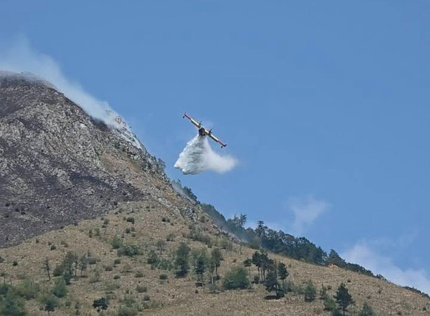 Incendio sul monte Piastra a Valdieri, prosegue il presidio: si attende il ritorno dei mezzi aerei Incendio sul monte Piastra a Valdieri, prosegue il presidio: si attende il ritorno dei mezzi aerei