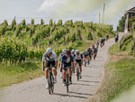 EVENTI / Domenica di appuntamenti in Granda: Cuneo chiude il Festival della Montagna, in Langa e Roero c'è la cicloturistica Bra-Bra