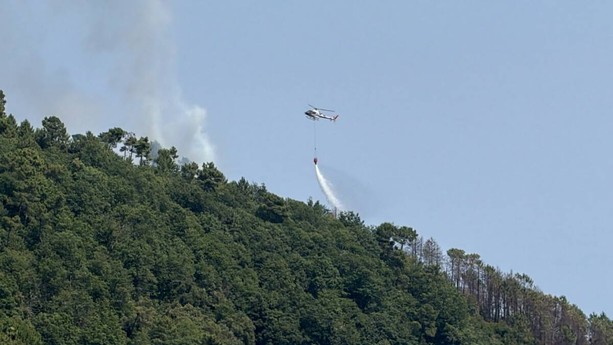 Incendio tra Borello e San Romolo, fiamme ancora vive dopo oltre 24 ore di emergenza Incendio tra Borello e San Romolo, fiamme ancora vive dopo oltre 24 ore di emergenza
