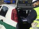 Mimose abusive, la polizia locale di Varese sequestra oltre 700 mazzi di fiori Mimose abusive, la polizia locale di Varese sequestra oltre 700 mazzi di fiori