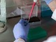 Pioggia di fondi Ue per sostenere la lotta al Covid: 6,5 milioni per i laboratori privati e le Università piemontesi Pioggia di fondi Ue per sostenere la lotta al Covid: 6,5 milioni per i laboratori privati e le Università piemontesi