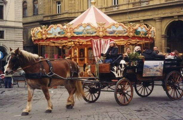 Cuneo, continua il confronto sulla carrozza di Natale. Le associazioni: “Riconsiderare l’uso dei cavalli negli eventi cittadini” Cuneo, continua il confronto sulla carrozza di Natale. Le associazioni: “Riconsiderare l’uso dei cavalli negli eventi cittadini”