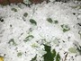 Temporali in arrivo sulla Liguria, scatta l’attenzione per grandine oltre i 2 centimetri e forti raffiche di vento