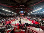 VARESE-TREVISO, la diretta. Serve una vittoria per continuare a scrivere una storia diversa VARESE-TREVISO, la diretta. Serve una vittoria per continuare a scrivere una storia diversa