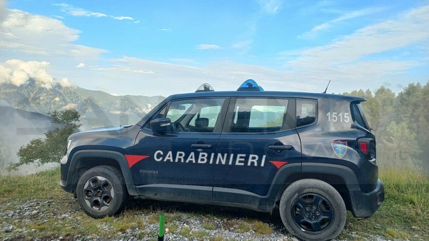 Oltre 200 animali stipati in una villa sulle alture di Sanremo: scoperta choc dopo una segnalazione, coppia denunciata
