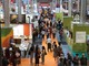 Ultimo giorno per il Salone del Libro: tra gli ospiti anche Nek e Massimo Ranieri Ultimo giorno per il Salone del Libro: tra gli ospiti anche Nek e Massimo Ranieri