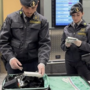 Malpensa, maxi sequestro di sigarette di contrabbando: 44 denunce Malpensa, maxi sequestro di sigarette di contrabbando: 44 denunce