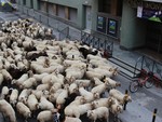 EVENTI / Festival della Montagna  e Quintessenza protagonisti nel weekend della Granda