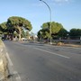 Sanremo, dopo il taglio dei pini in via Padre Semeria arrivano i nuovi asfalti: affidati i lavori per quasi 185 mila euro, giovedì l'inizio