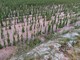 Da Piossasco ad Airasca: il maltempo mette in ginocchio gli agricoltori [FOTO]