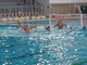 Pallanuoto, Campopiano carica la RN Savona in trasferta a Trieste: "Dimostrare la nostra forza" Pallanuoto, Campopiano carica la RN Savona in trasferta a Trieste: "Dimostrare la nostra forza"