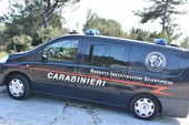 Caso Beatrice, il Ris esclude le scarpe sequestrate: non furono loro a lasciare le tracce sul corpo Caso Beatrice, il Ris esclude le scarpe sequestrate: non furono loro a lasciare le tracce sul corpo