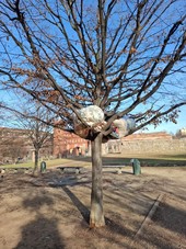 Cancelli chiusi di notte, stop al bivacco serale nei giardini archeologici