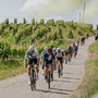 EVENTI / Domenica di appuntamenti in Granda: Cuneo chiude il Festival della Montagna, in Langa e Roero c'è la cicloturistica Bra-Bra