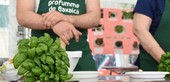 Pra’, dopo cinque anni di stop ritorna in grande stile la festa simbolo del quartiere ‘Profummo de Baxaicò’