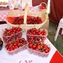 Dal Palio dei Borghi di Fossano alla Fiera della Ciliegia di Dogliani: ecco tutti gli eventi del week end 14-15 giugno in provincia di Cuneo