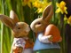 #IoRestoaCasa e rispetto le regole anche a Pasqua e a Pasquetta