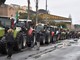 Sanremo: dopo i lombardi arrivati anche gli agricoltori piemontesi, per ora sono in Valle Armea (Foto e Video) Sanremo: dopo i lombardi arrivati anche gli agricoltori piemontesi, per ora sono in Valle Armea (Foto e Video)