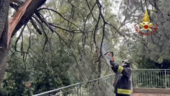 VIDEO. Maltempo, la conta dei danni: nel Varesotto oltre 40 interventi di soccorso