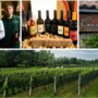 Cascina Ronchetto, quel mondo antico che riporta in vita i vini varesini: «Chiamateli ViVa e riempite un calice con il nettare della nostra terra»