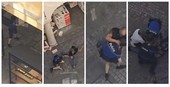 Rapina con spari in gioielleria a Lugano, arrestata in Italia un donna di 29 anni