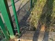 Nuovo furto alla Cittadella Nida di Falchera: "Di giorno costruiamo, di notte ci rubano tutto" Nuovo furto alla Cittadella Nida di Falchera: "Di giorno costruiamo, di notte ci rubano tutto"