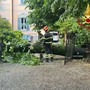 Violento temporale nella notte tra Varese e Malnate: numerosi alberi caduti
