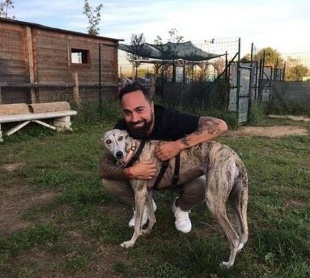 Guardie zoofile in città, l’iniziativa si estende anche alla Circoscrizione 7? Guardie zoofile in città, l’iniziativa si estende anche alla Circoscrizione 7?