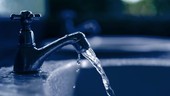 Allarme PFAS, dopo Borgio Verezzi acqua non potabile anche a Pietra Ligure Allarme PFAS, dopo Borgio Verezzi acqua non potabile anche a Pietra Ligure