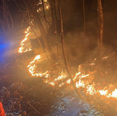 Ancora una notte di presidio per l'incendio a Frabosa Sottana, estinte le fiamme sul versante di Roccaforte Ancora una notte di presidio per l'incendio a Frabosa Sottana, estinte le fiamme sul versante di Roccaforte