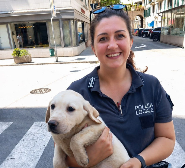 Sei cani soccorsi in un'abitazione a Savona dopo una segnalazione: intervento della polizia locale e del servizio veterinario Sei cani soccorsi in un'abitazione a Savona dopo una segnalazione: intervento della polizia locale e del servizio veterinario