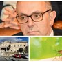 Dengue a Sanremo, il primario Cenderello: "Nessun allarme, è soprattutto un caso di interesse epidemiologico" Dengue a Sanremo, il primario Cenderello: "Nessun allarme, è soprattutto un caso di interesse epidemiologico"