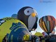 Mondovì torna ad essere capitale italiana delle mongolfiere: ecco le forme speciali che voleranno all'Epifania Mondovì torna ad essere capitale italiana delle mongolfiere: ecco le forme speciali che voleranno all'Epifania