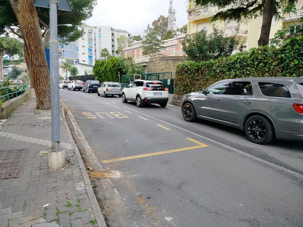 Sanremo: la Lipu chiede di non togliere i pini da via Padre Semeria, dal Comune &quot;Lavoriamo per mantenere il verde e garantire sicurezza&quot;