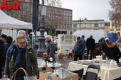 Il mercatino dell'antiquariato trasloca in piazza Campo del Palio: cambia la viabilità il 23 agosto Il mercatino dell'antiquariato trasloca in piazza Campo del Palio: cambia la viabilità il 23 agosto