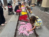 Infiorata di Cuneo 2025: fiori, arte e fede per la Madonna del Carmine