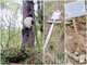Impiccato un pupazzo e distrutte le installazioni sul sentiero di “Petinmenin” a Vignolo