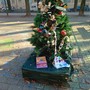 L’ennesimo raid di Natale ai giardini Alimonda, i vandali rovinano anche l’albero