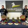 Arrestato pusher 47enne: in casa oltre 3 kg di marijuana e una coltivazione di piantine. Riforniva la piazza di Savona